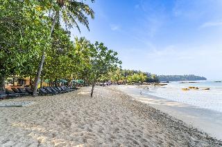 Baan Khaolak Resort fotoÄŸrafÄ±
