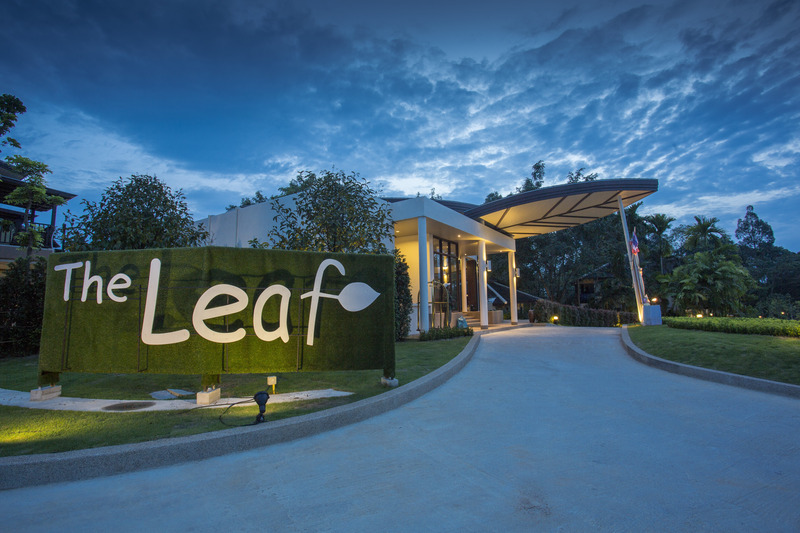 The Leaf on the Sands - Lobi