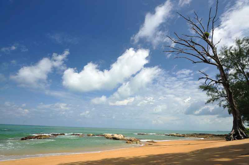 The Leaf on the Sands - Plaj
