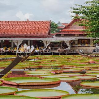 Ma Doo Bua Phuket - The Legend of Thai Villas fotoÄŸrafÄ±