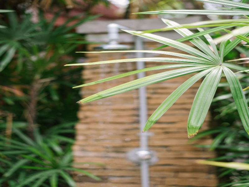 Ma Doo Bua Phuket - The Legend of Thai Villas - Genel