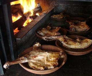 Bufon de Arenillas fotoÄŸrafÄ±