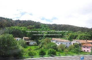 Bufon de Arenillas fotoÄŸrafÄ±
