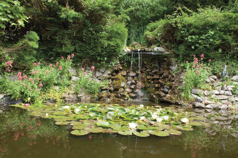 Webbington Hotel & Spa - Genel