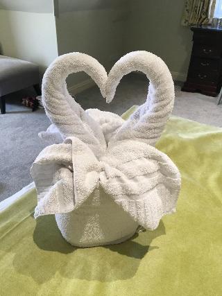 Webbington Hotel & Spa fotoÄŸrafÄ±