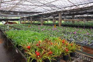 Phu Pha Nam Resort & Spa fotoÄŸrafÄ±