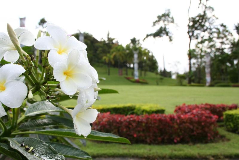 Phu Pha Nam Resort & Spa - Genel