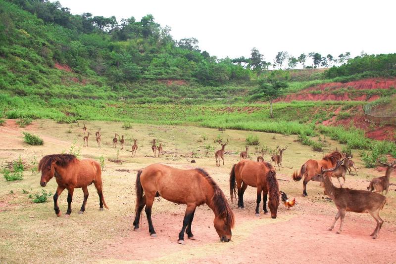 Phu Pha Nam Resort & Spa - Genel