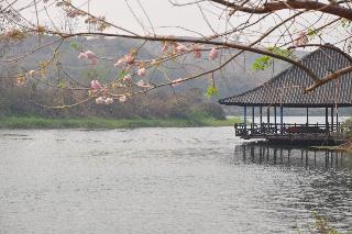 Phu Pha Nam Resort & Spa fotoÄŸrafÄ±