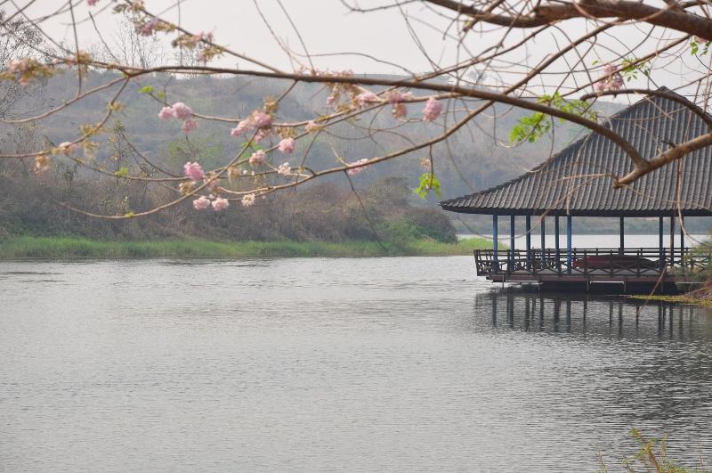 Phu Pha Nam Resort & Spa - Genel