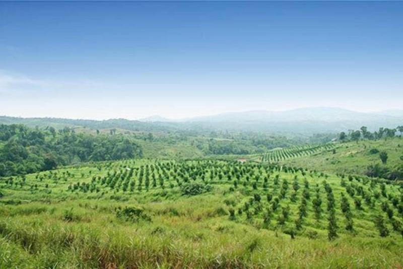 Phu Pha Nam Resort & Spa - Genel