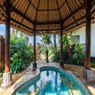 Natura Villa Resort & Spa Ubud Bali fotoÄŸrafÄ±