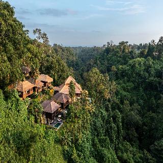 Natura Villa Resort & Spa Ubud Bali fotoÄŸrafÄ±