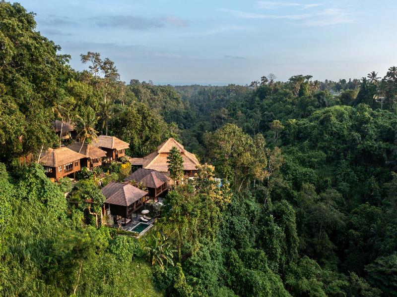 Natura Villa Resort & Spa Ubud Bali - Genel