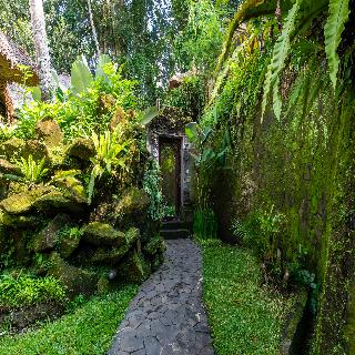 Natura Villa Resort & Spa Ubud Bali fotoÄŸrafÄ±