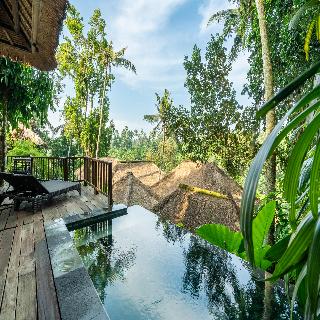 Natura Villa Resort & Spa Ubud Bali fotoÄŸrafÄ±