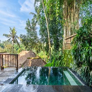 Natura Villa Resort & Spa Ubud Bali fotoÄŸrafÄ±