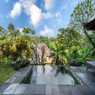 Natura Villa Resort & Spa Ubud Bali fotoÄŸrafÄ±