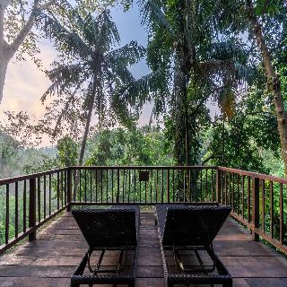 Natura Villa Resort & Spa Ubud Bali fotoÄŸrafÄ±