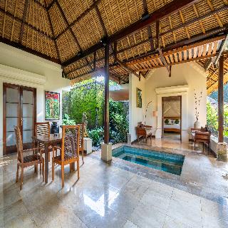 Natura Villa Resort & Spa Ubud Bali fotoÄŸrafÄ±