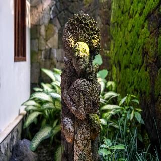 Natura Villa Resort & Spa Ubud Bali fotoÄŸrafÄ±