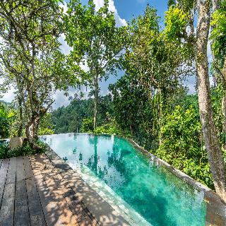 Natura Villa Resort & Spa Ubud Bali fotoÄŸrafÄ±