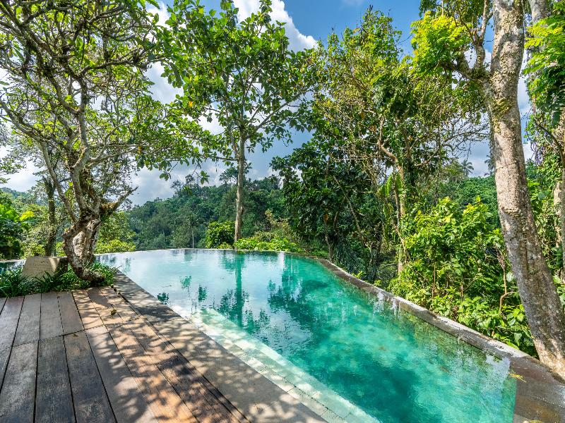 Natura Villa Resort & Spa Ubud Bali - Havuz