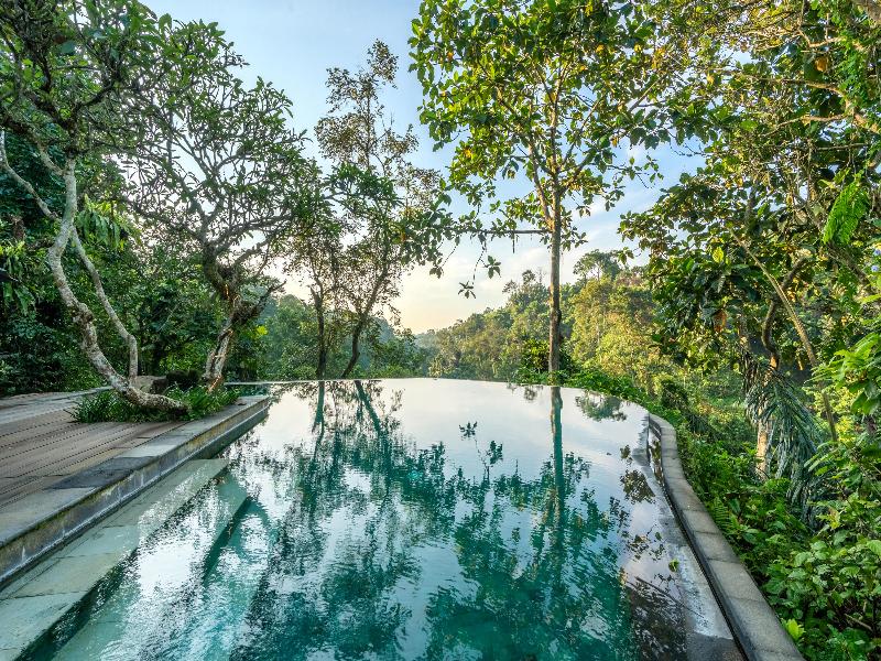 Natura Villa Resort & Spa Ubud Bali - Havuz
