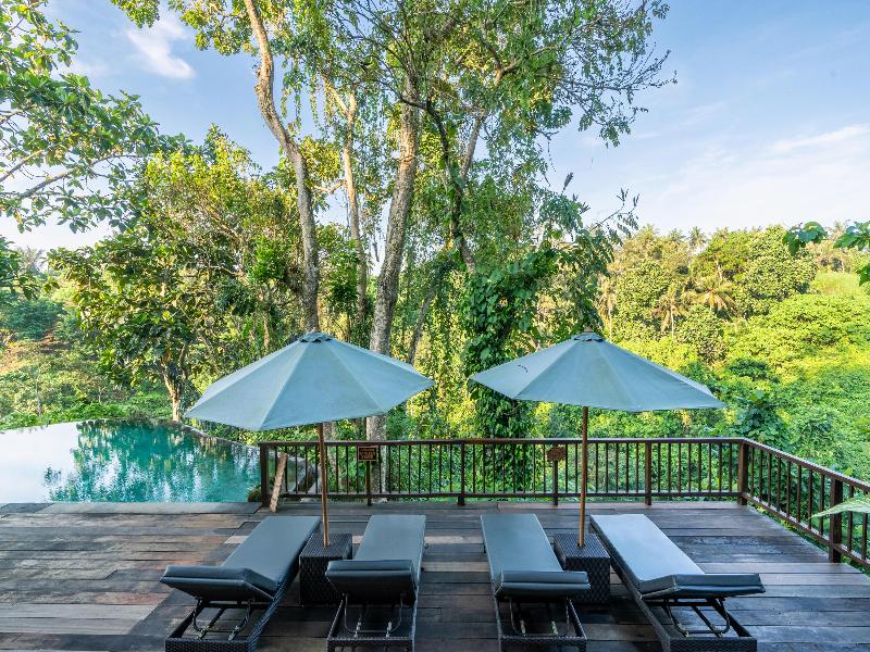 Natura Villa Resort & Spa Ubud Bali - Havuz