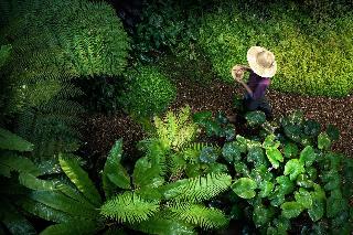 Rati Lanna Riverside Spa Resort, Chiang Mai fotoÄŸrafÄ±