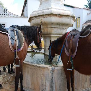 Rural Quinta de Santo Antonio fotoÄŸrafÄ±