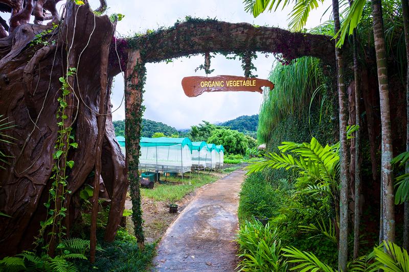 Panviman Chiangmai Spa Resort - Aktivite