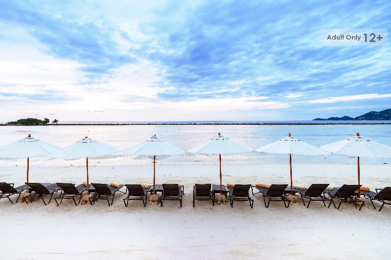 Dara Samui Beach Resort - Adult Only - Genel