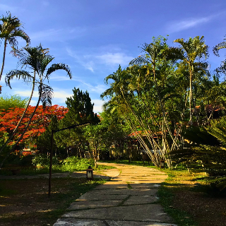 Pai Hotspring Spa Resort fotoÄŸrafÄ±