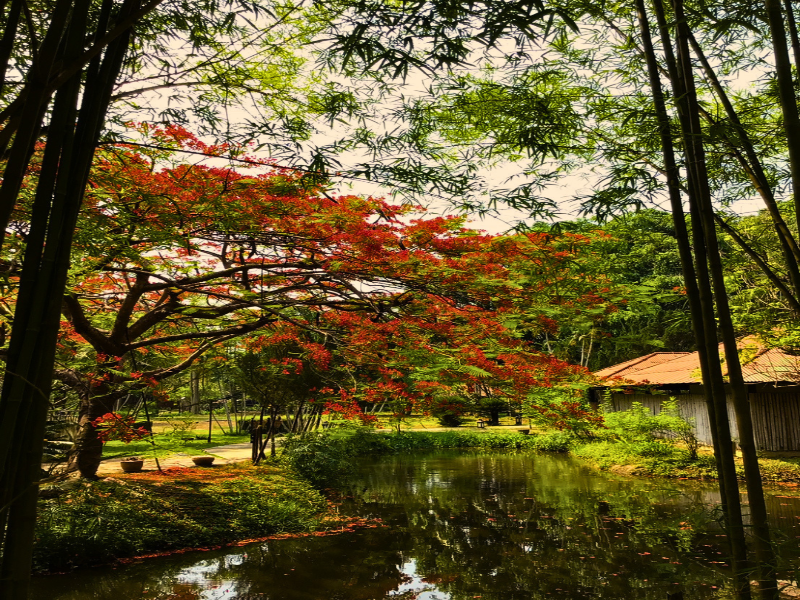 Pai Hotspring Spa Resort - Lobi