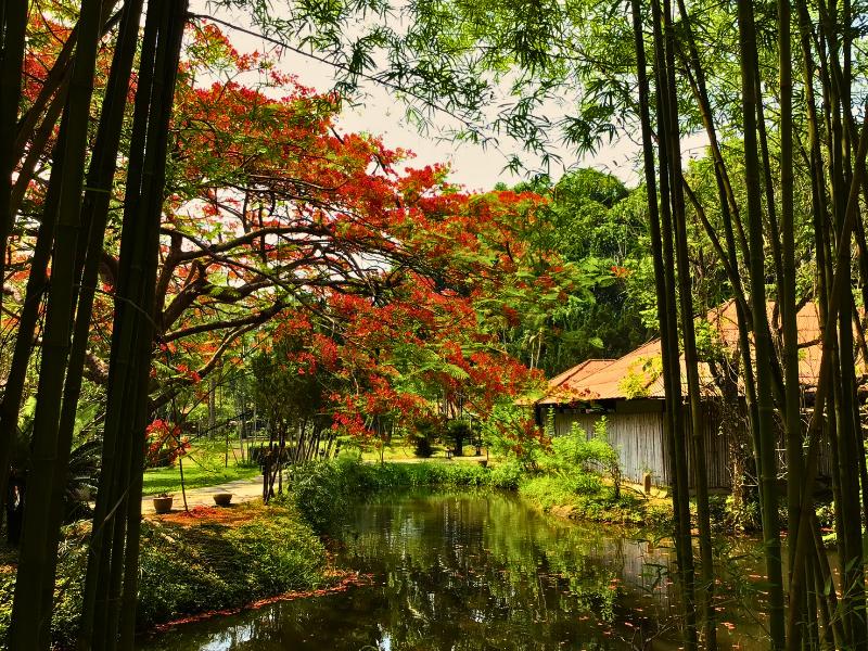 Pai Hotspring Spa Resort - Genel