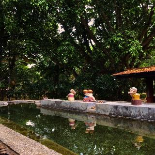 Pai Hotspring Spa Resort fotoÄŸrafÄ±