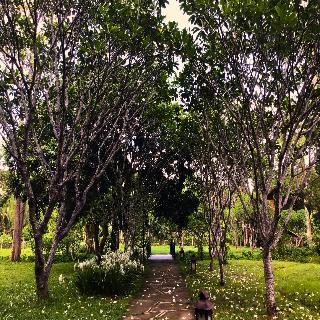 Pai Hotspring Spa Resort fotoÄŸrafÄ±