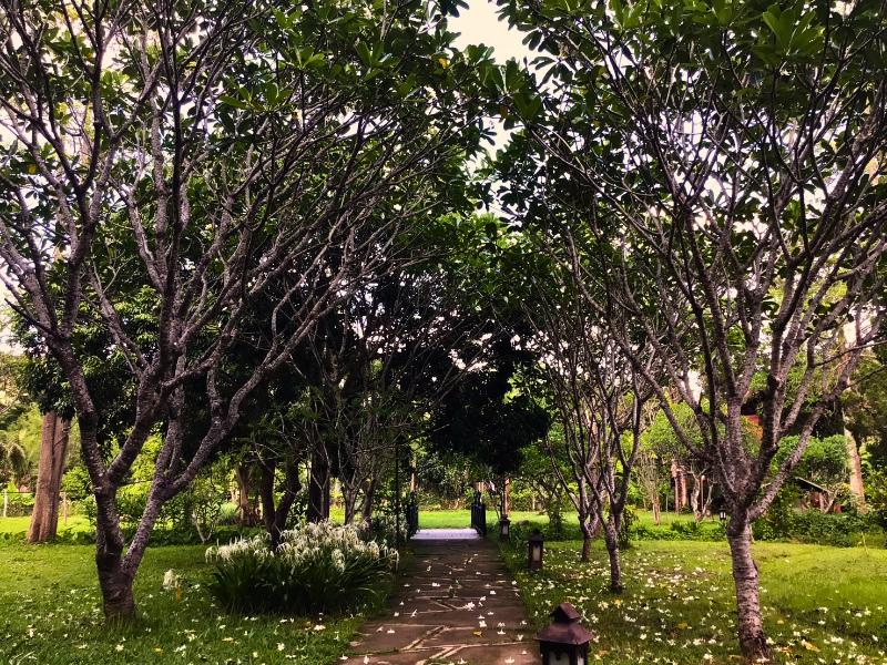 Pai Hotspring Spa Resort - Genel
