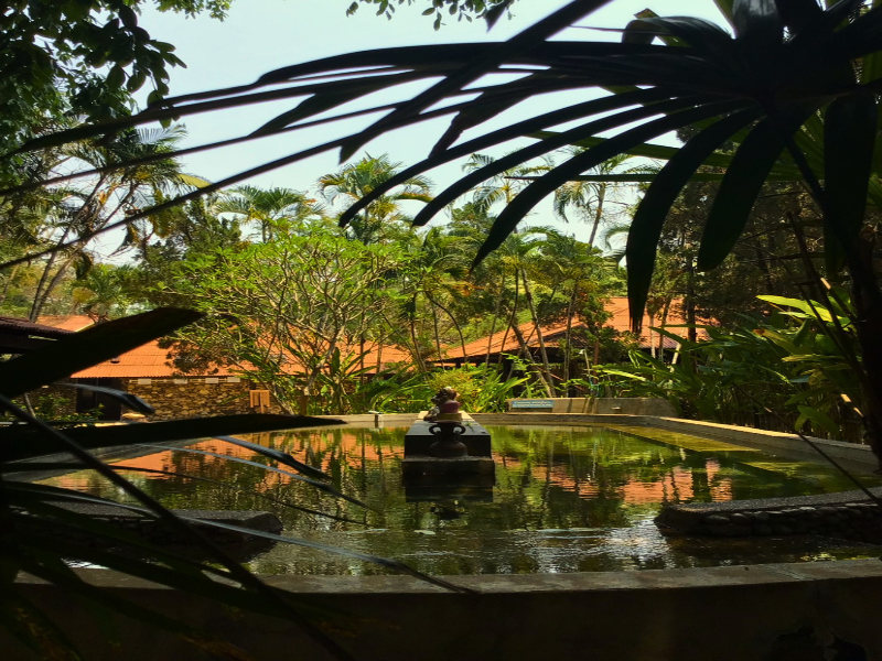Pai Hotspring Spa Resort - Genel