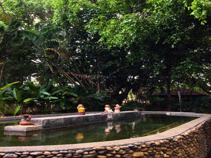 Pai Hotspring Spa Resort - Genel