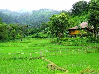 Hmong Hill Tribe Lodge Chiang Mai fotoÄŸrafÄ±