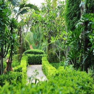 Golden Pine Resort Chiang Rai fotoÄŸrafÄ±