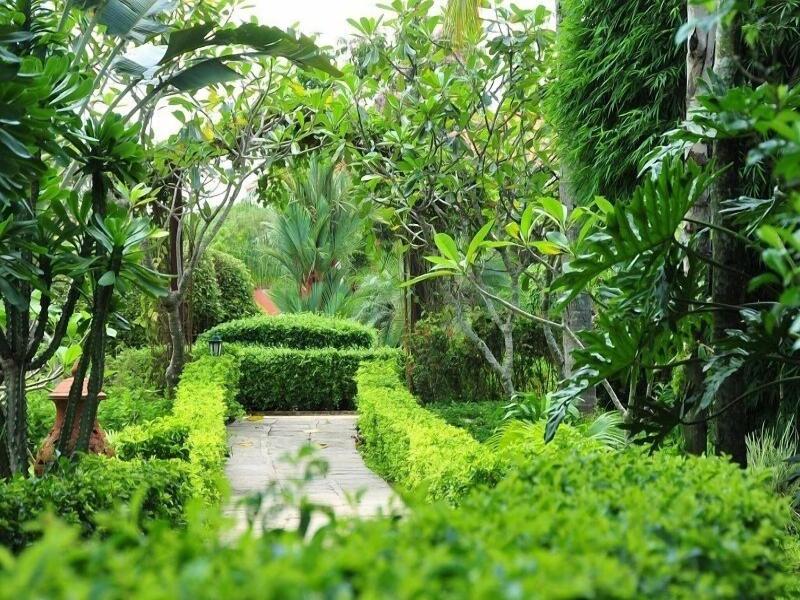 Golden Pine Resort Chiang Rai - Genel