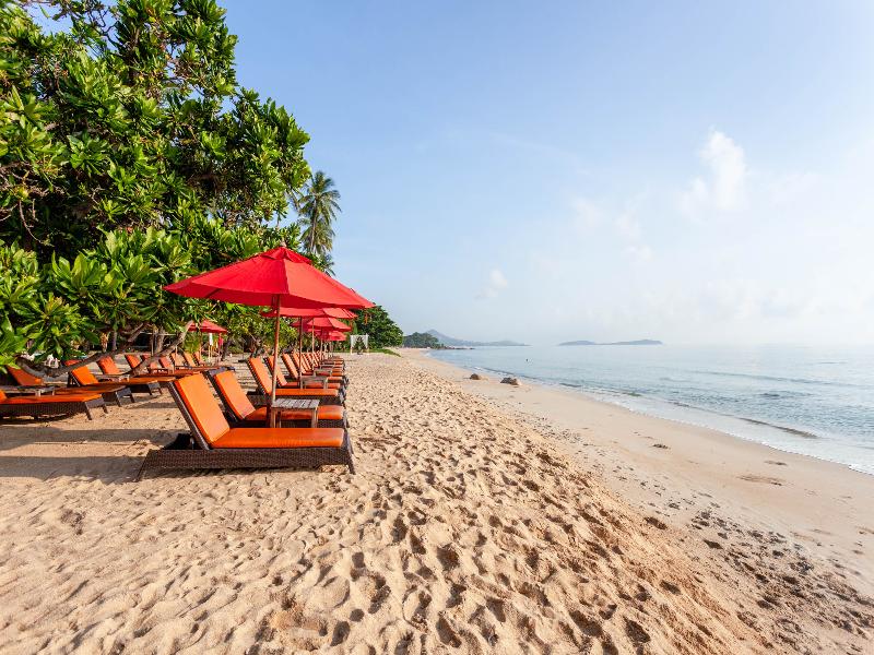 New Star Beach Resort - Genel