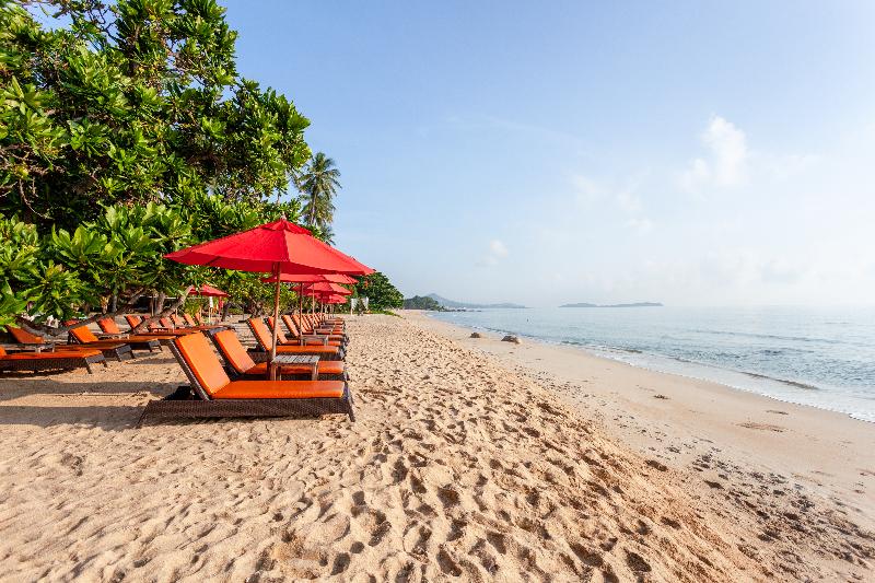 New Star Beach Resort - Plaj