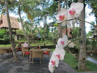 Arma Museum and Resort fotoÄŸrafÄ±