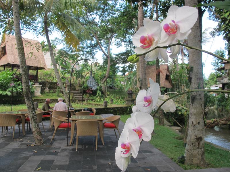 Arma Museum and Resort - Genel
