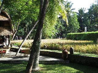Arma Museum and Resort fotoÄŸrafÄ±