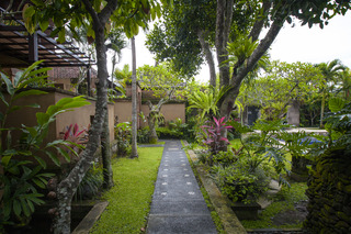 Bebek Tepi Sawah Restaurant & Villas fotoÄŸrafÄ±